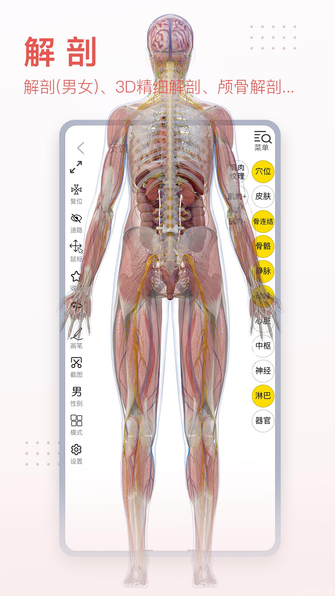 最好用的3d软件下载分享