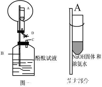 лѧȪʵ鴴