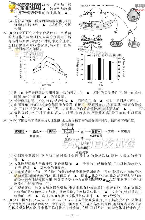 2015꽭ո߿Ծ𰸣ͼƬ棩