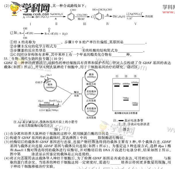 2015긣߿⣨Ȱ棩