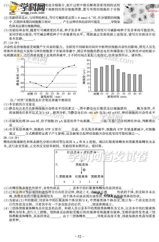 2015긣߿Ծ𰸣ͼƬ棩