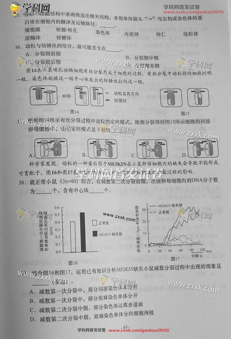 2015Ϻ߿⼰𰸣ͼƬ棩