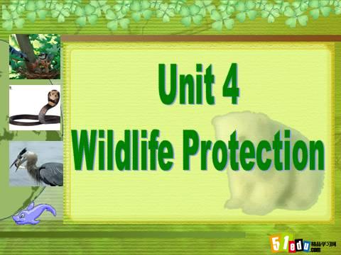 ˽̰һӢ²ͬϰUnit 4Wildlife protection