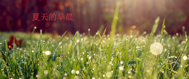 糿ˬģ糿õģ糿ġƵ༭Իܵʽҳ糿ĴȫаУҰյ糿糿?յ糿ȣһ°~