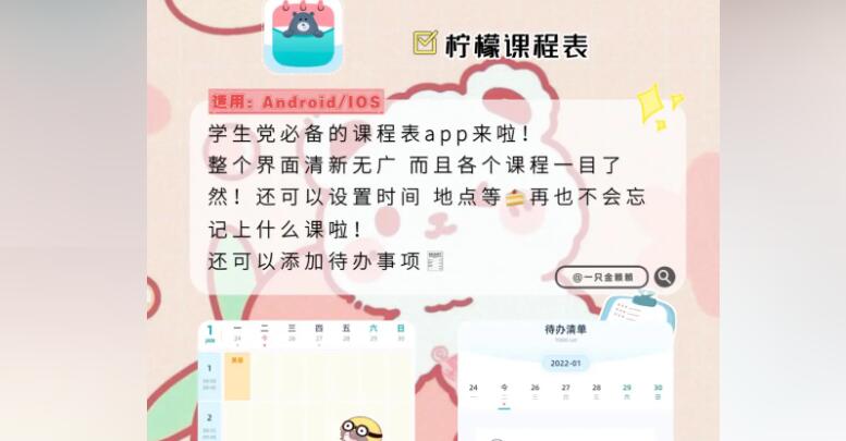 小学课程表编排软件排行榜前十名