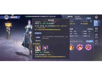 斗罗大陆手游魂师怎么搭配